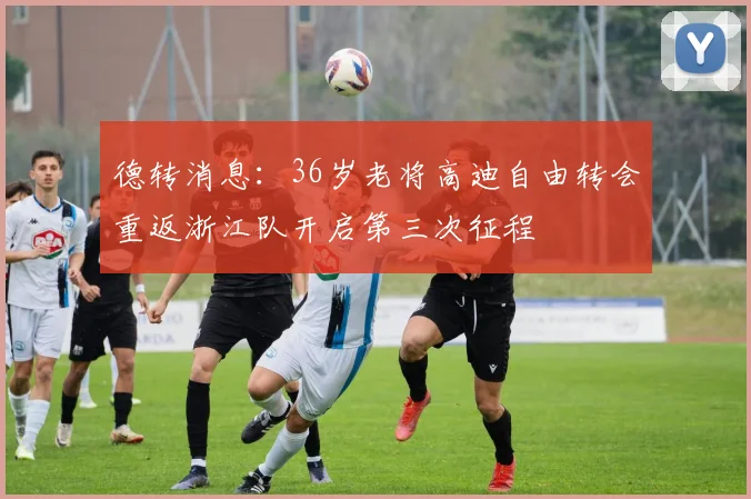 德转消息：36岁老将高迪自由转会重返浙江队开启第三次征程