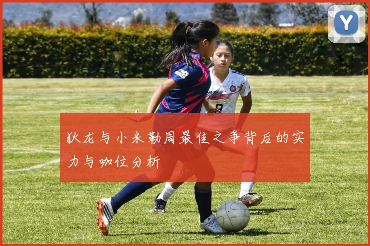 狄龙与小米勒周最佳之争背后的实力与咖位分析